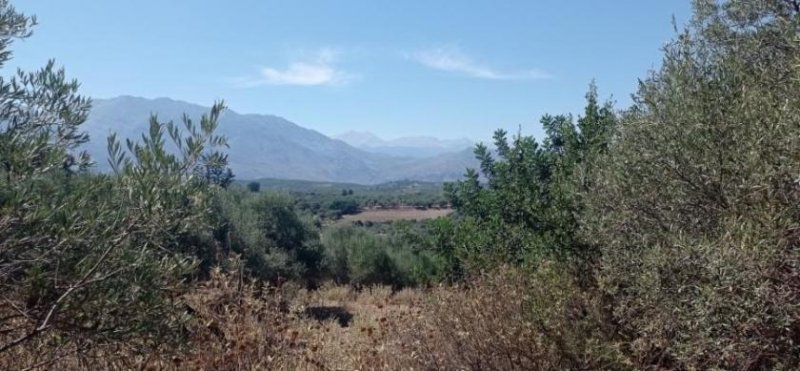 Episkopi bei Rethymno Kreta, Episkopi: Wunderschönes Grundstück mit Meerblick und Baugenehmigung zu verkaufen Grundstück kaufen